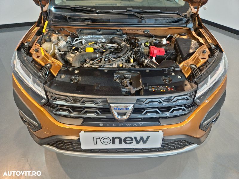 Dacia Sandero Stepway ECO-G 100 MT6 Comfort - 21