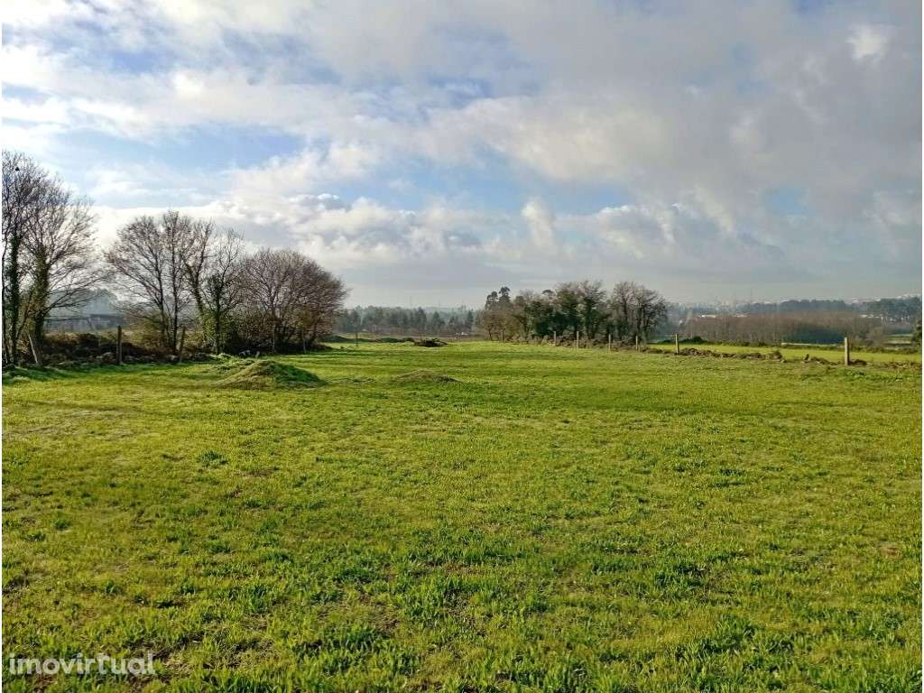 Terreno com PIP aprovado para 8 moradias - Grande imagem: 4/5