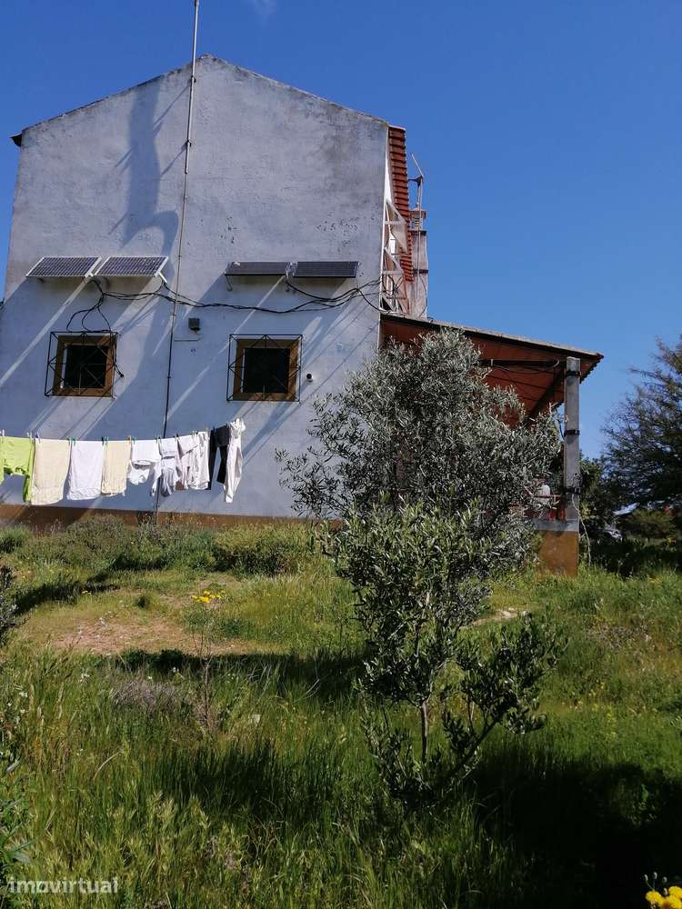 Terreno rústico de 25.000m² com acesso não pavimentado - Grande imagem: 3/9