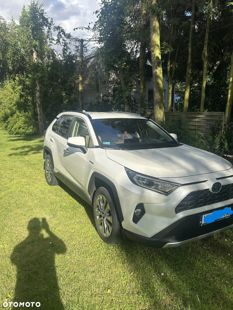 Toyota RAV4 2.5 Hybrid Executive 4x2 - 4
