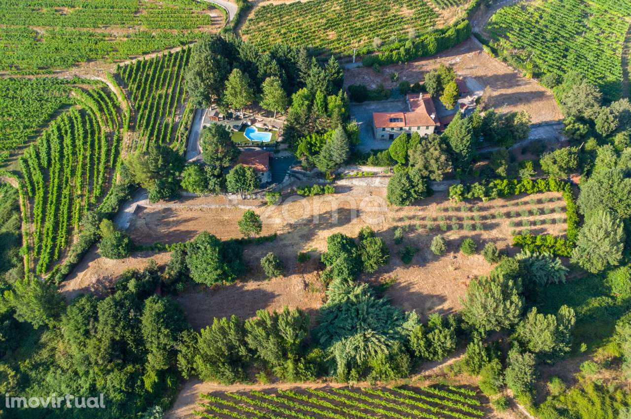 Quinta em alojamento local com terreno de 15.000 m2 - Cartida, Baião - Grande imagem: 4/60