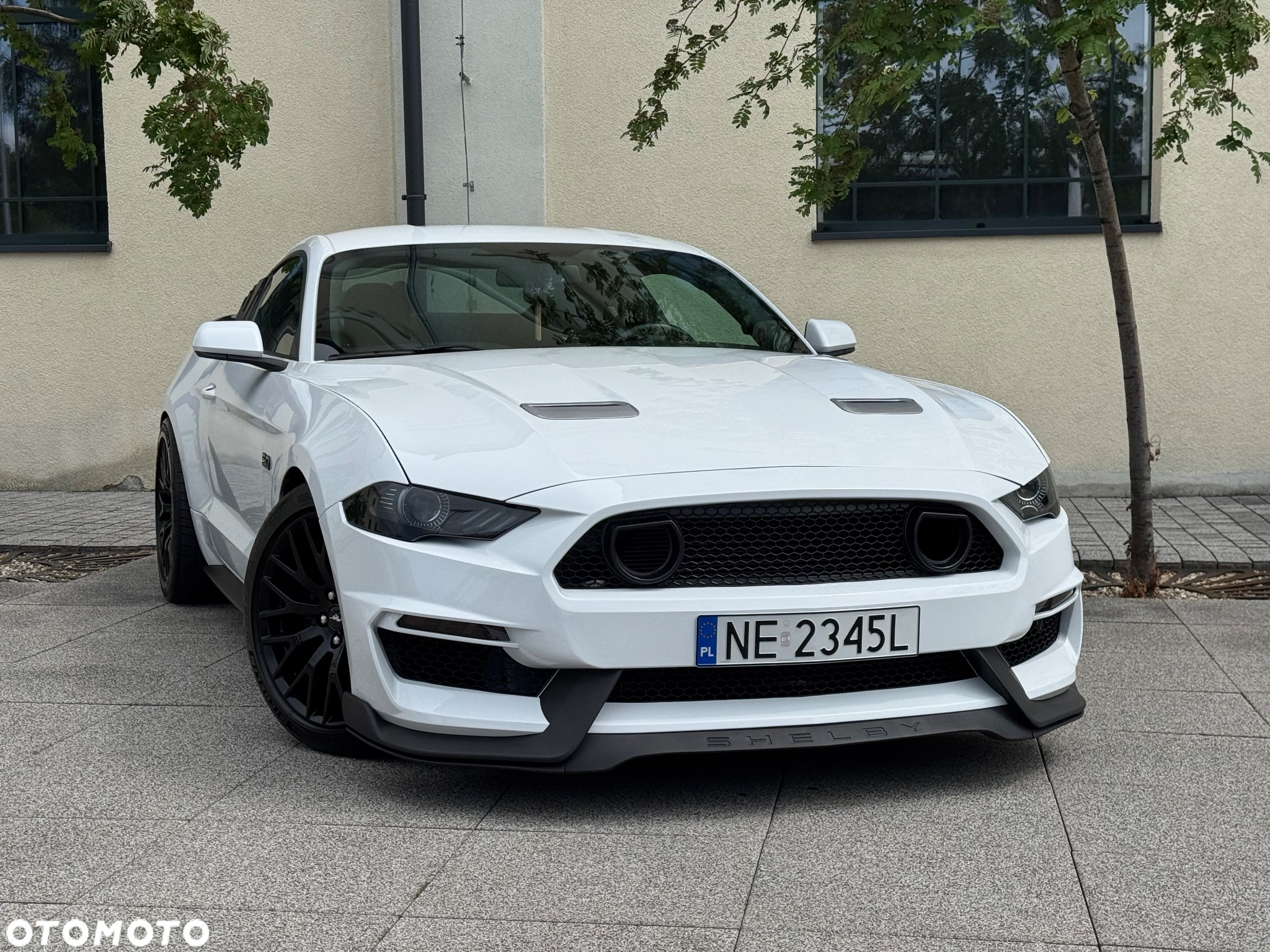 Ford Mustang 5.0 V8 GT - 33