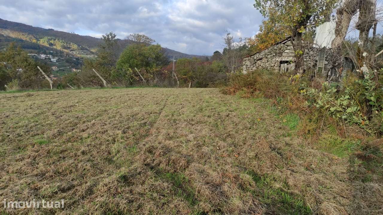 Terreno  Venda em Campelo e Ovil,Baião - Grande imagem: 2/21