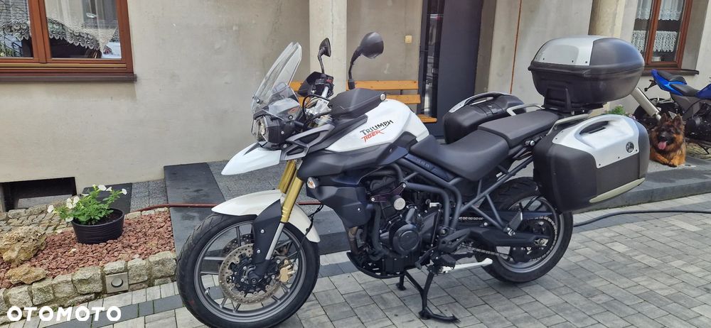 Triumph Tiger - 2