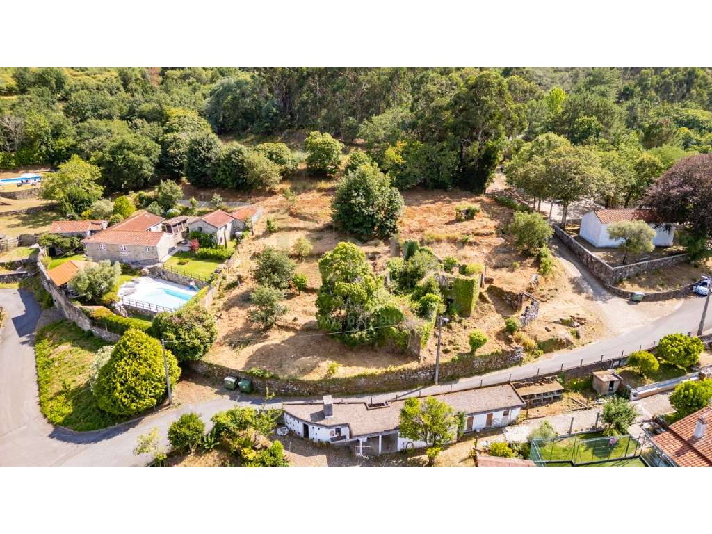 Terreno com Ruína e Projeto Aprovado para Turismo Rural em Loivo - Grande imagem: 5/14