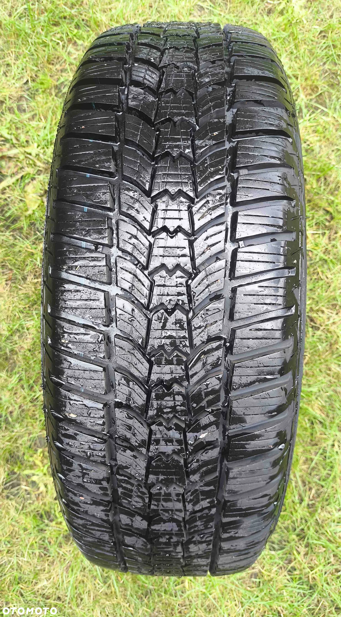Sava Eskimo HP2 205/60 R16 - Toyota Avensis T27 - 2
