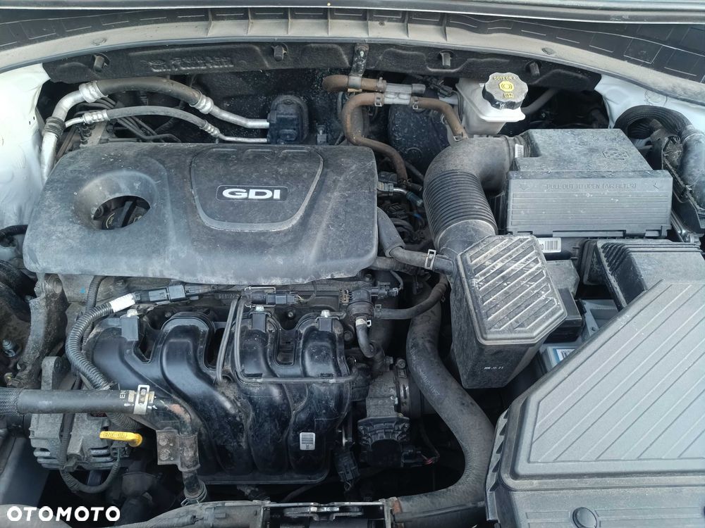 Kia Sportage - 6