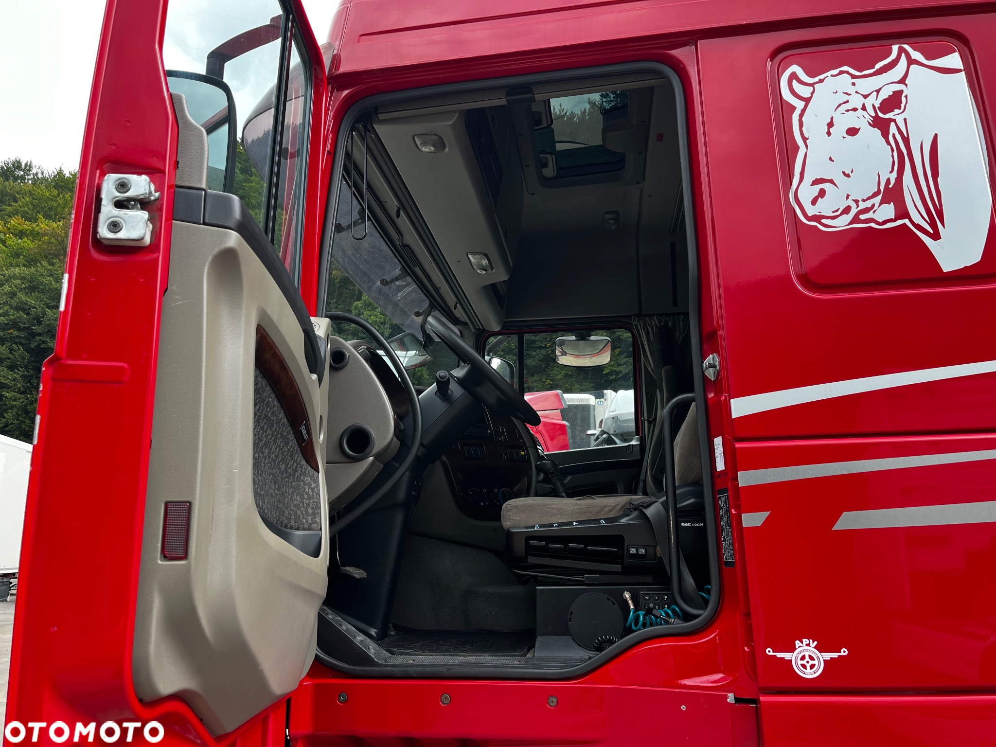 DAF XF 105.460 Euro 5 // Manual // Retarder // Do Żywca / Bydła / Zwierząt / - 21