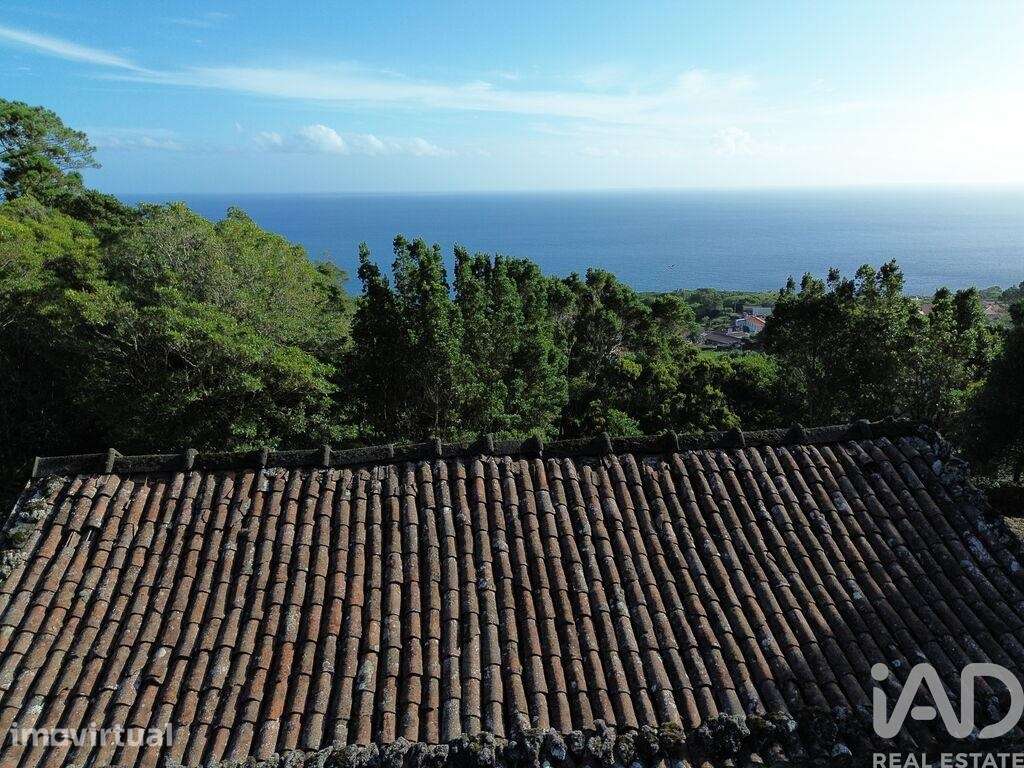 Casa tradicional em Ribeiras de 140,00 m2 - Grande imagem: 2/19