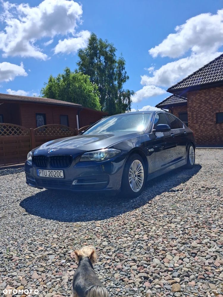 BMW Seria 5 518d Modern Line - 2