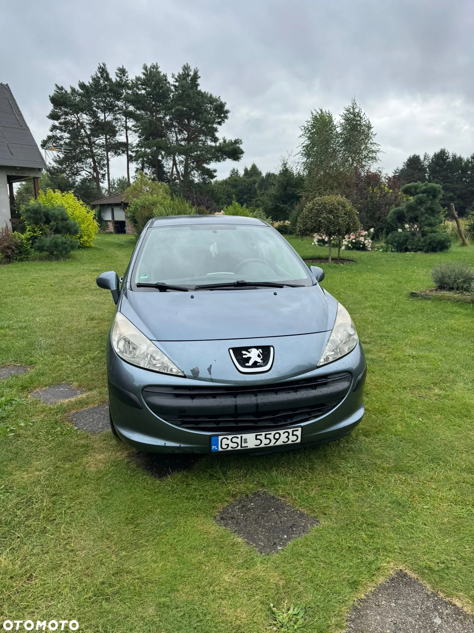 Peugeot 207 - 2