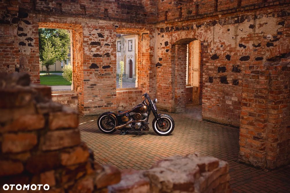 Harley-Davidson Softail Cross Bones - 13