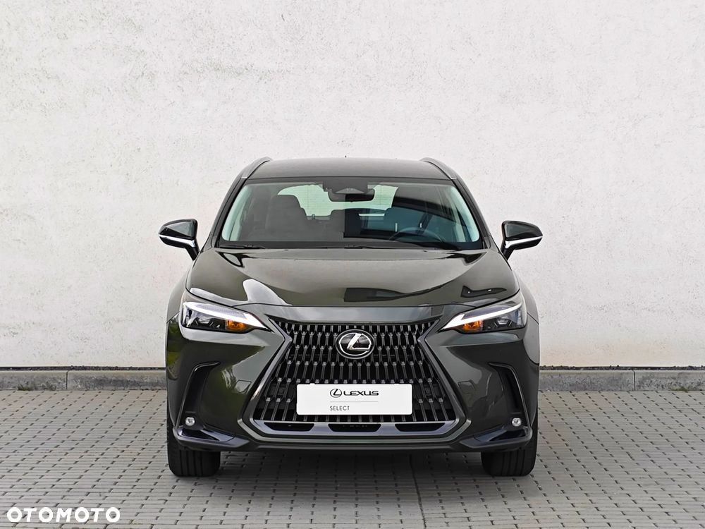 Lexus NX 350h Elegance 2WD - 7