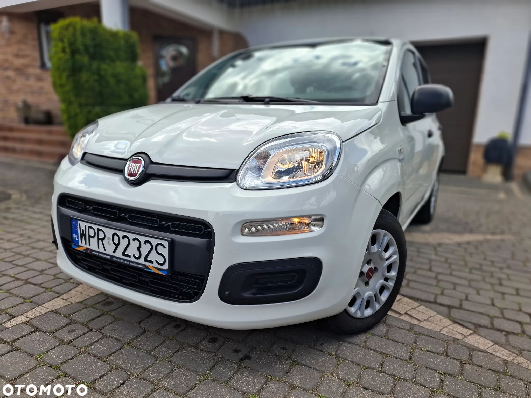 Fiat Panda - 1
