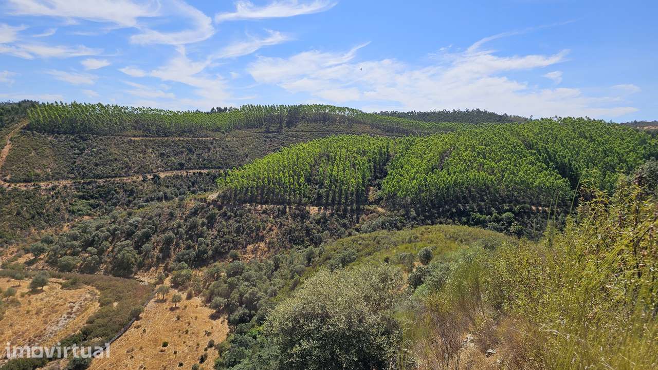 Terreno Rústico com 43 Hectares em Nisa, Portalegre - Grande imagem: 4/19