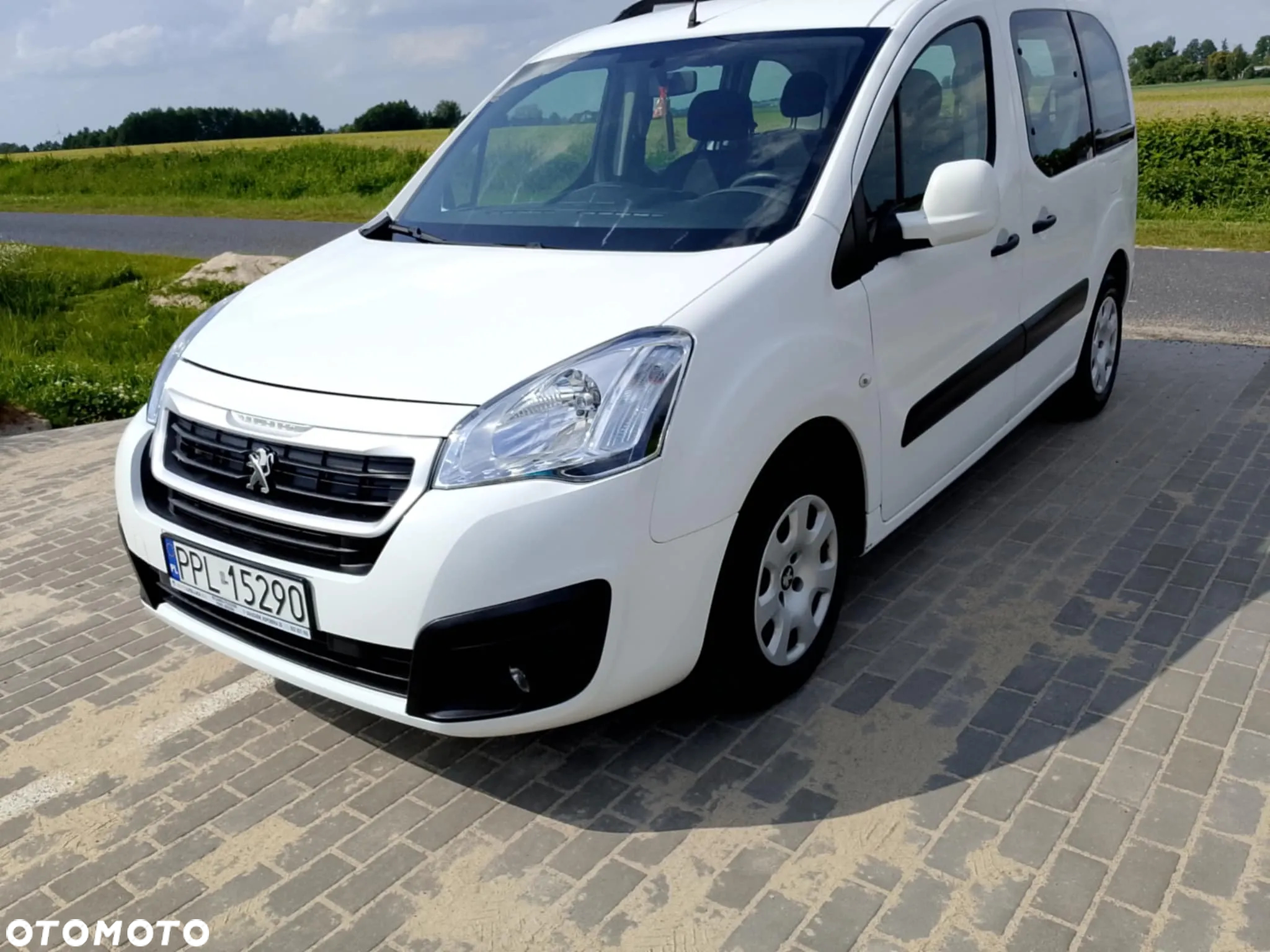 Peugeot Partner 1.6 BlueHDi Active 7os - 12