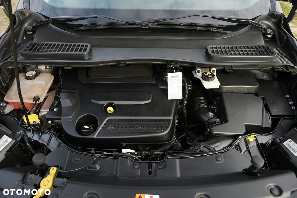 Ford Kuga 2.0 TDCi 4WD Titanium Plus - 34