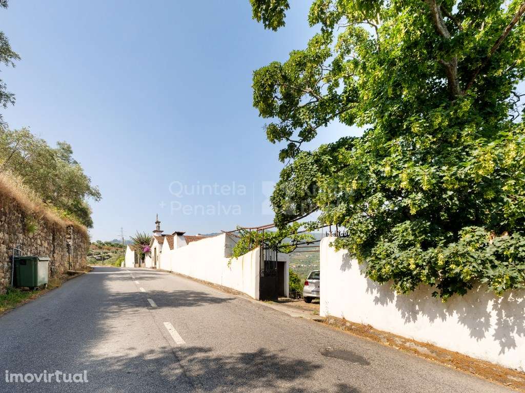 Quinta Histórica com Vinha no Alto Douro Vinhateiro - Grande imagem: 2/25