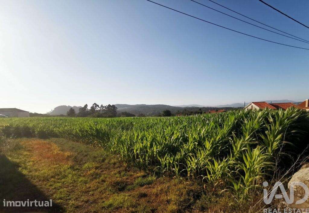 Terreno para construção em Antas de 4675,00 m2 - Grande imagem: 2/15