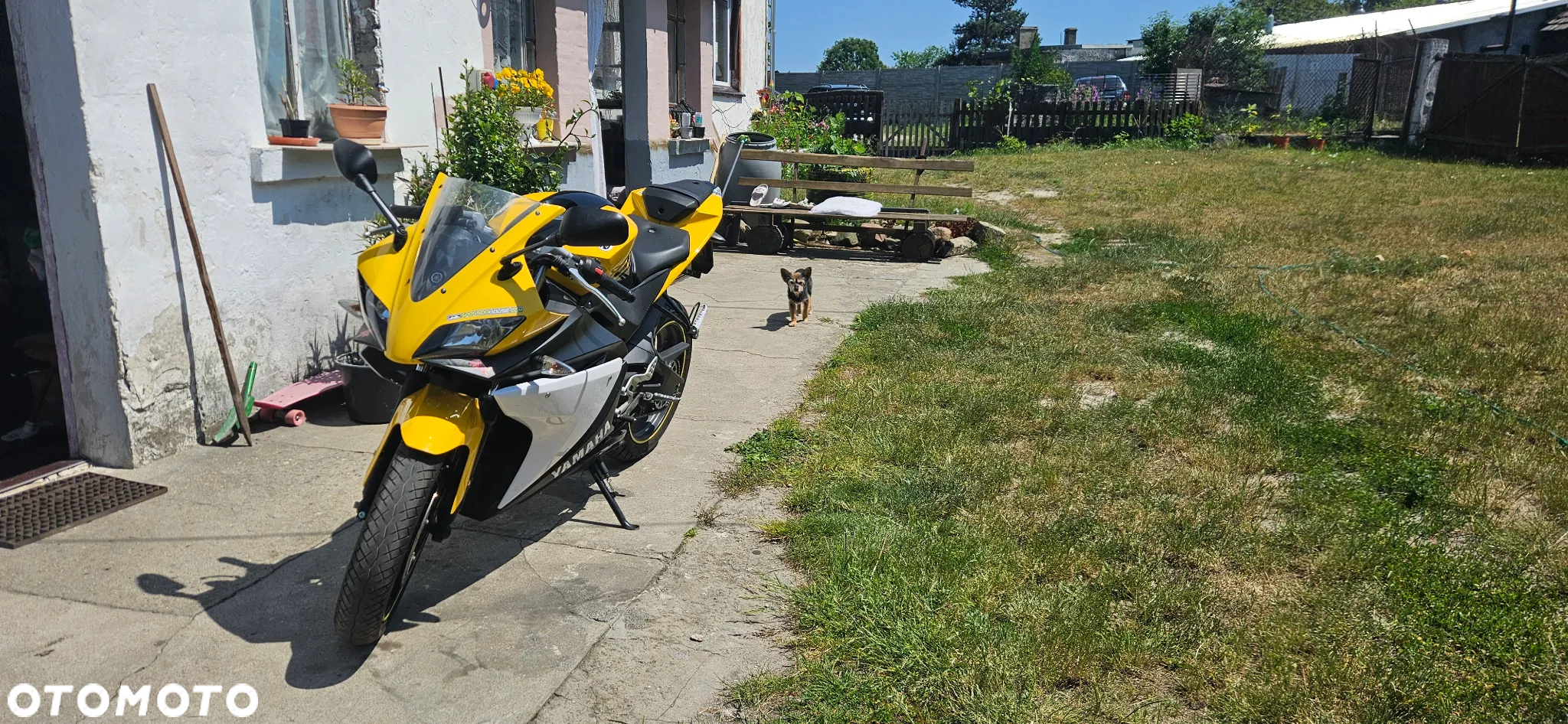 Yamaha YZF - 5