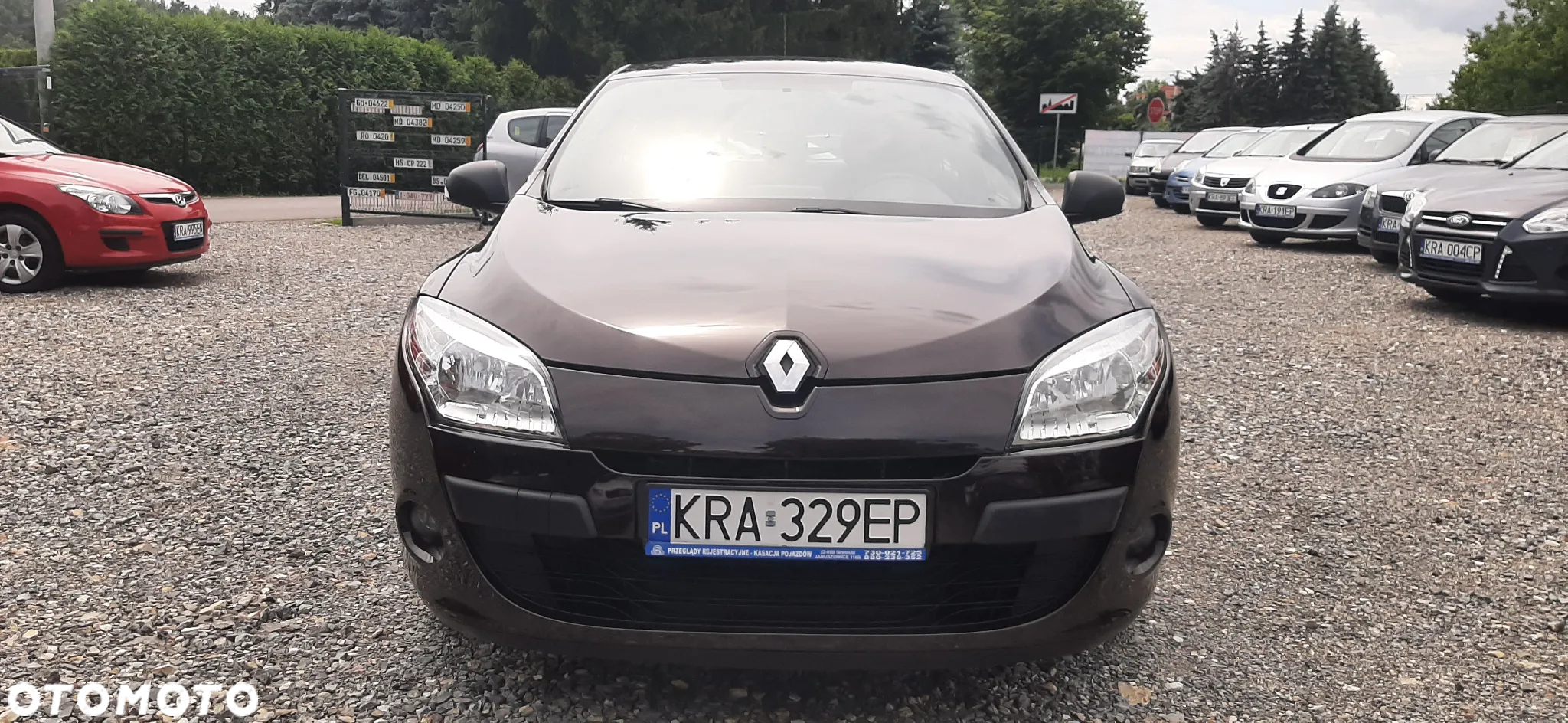 Renault Megane - 29