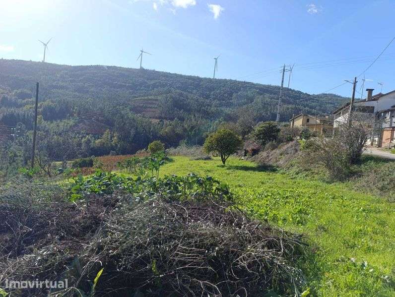 Terreno à venda em Penacova - Grande imagem: 3/3