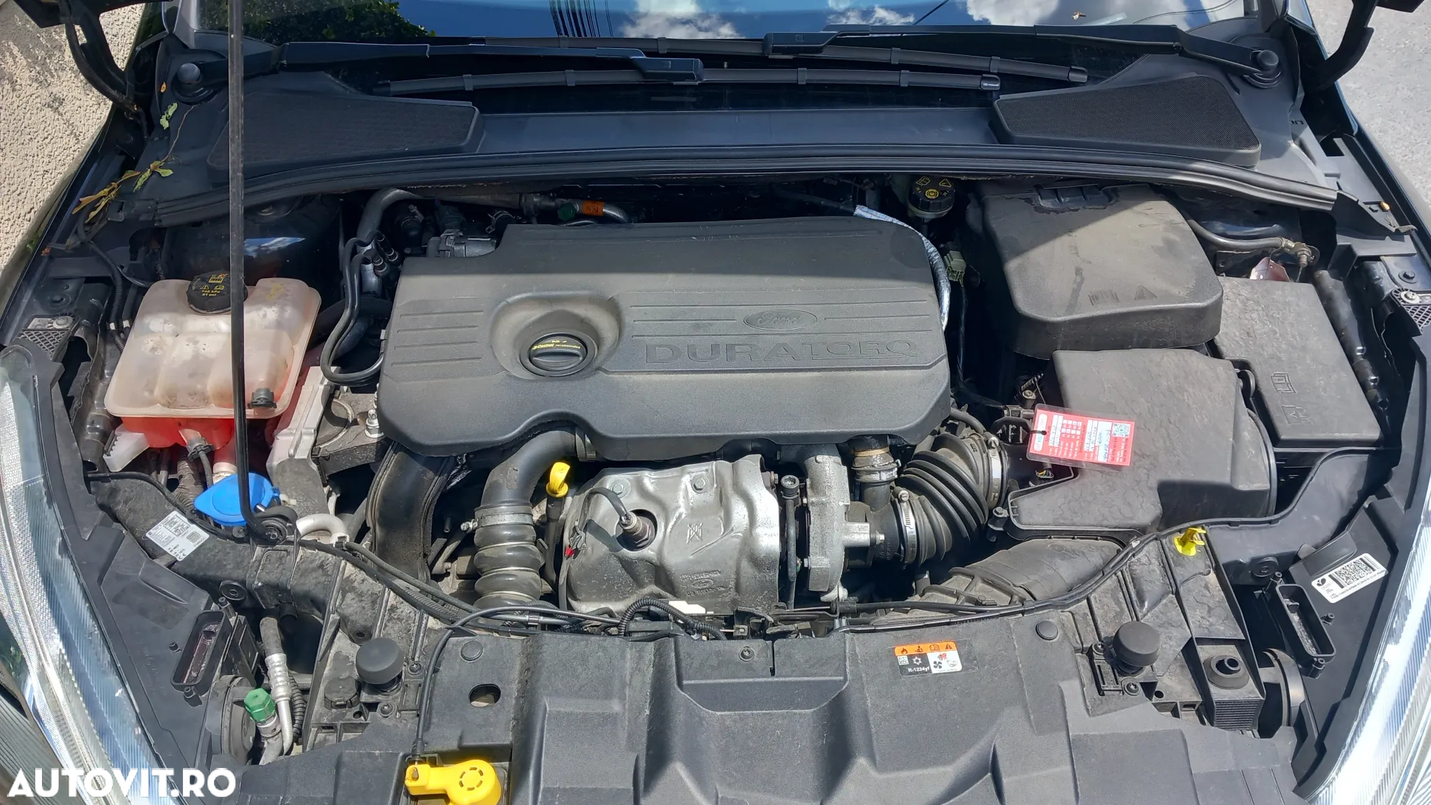 Ford Focus 1.5 EcoBlue Active Business - 8