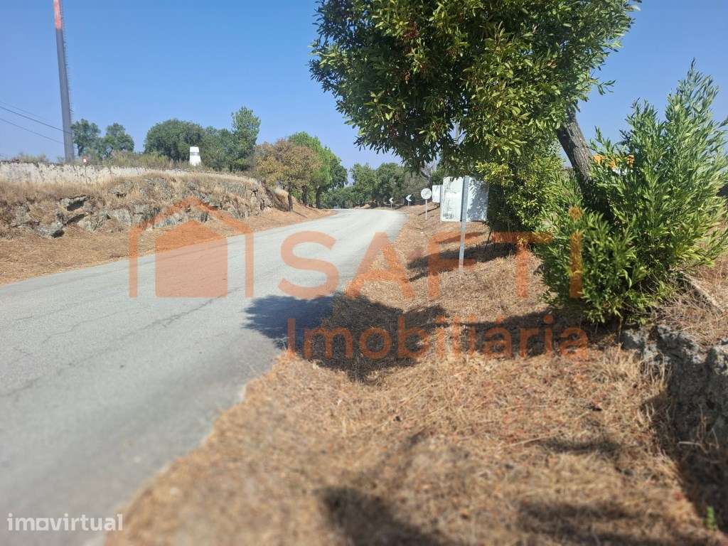 Tapada do Picoto - Alto Alentejo - Grande imagem: 3/50