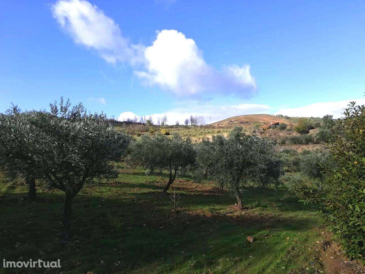 Quintinha em Ranhados - Grande imagem: 3/4