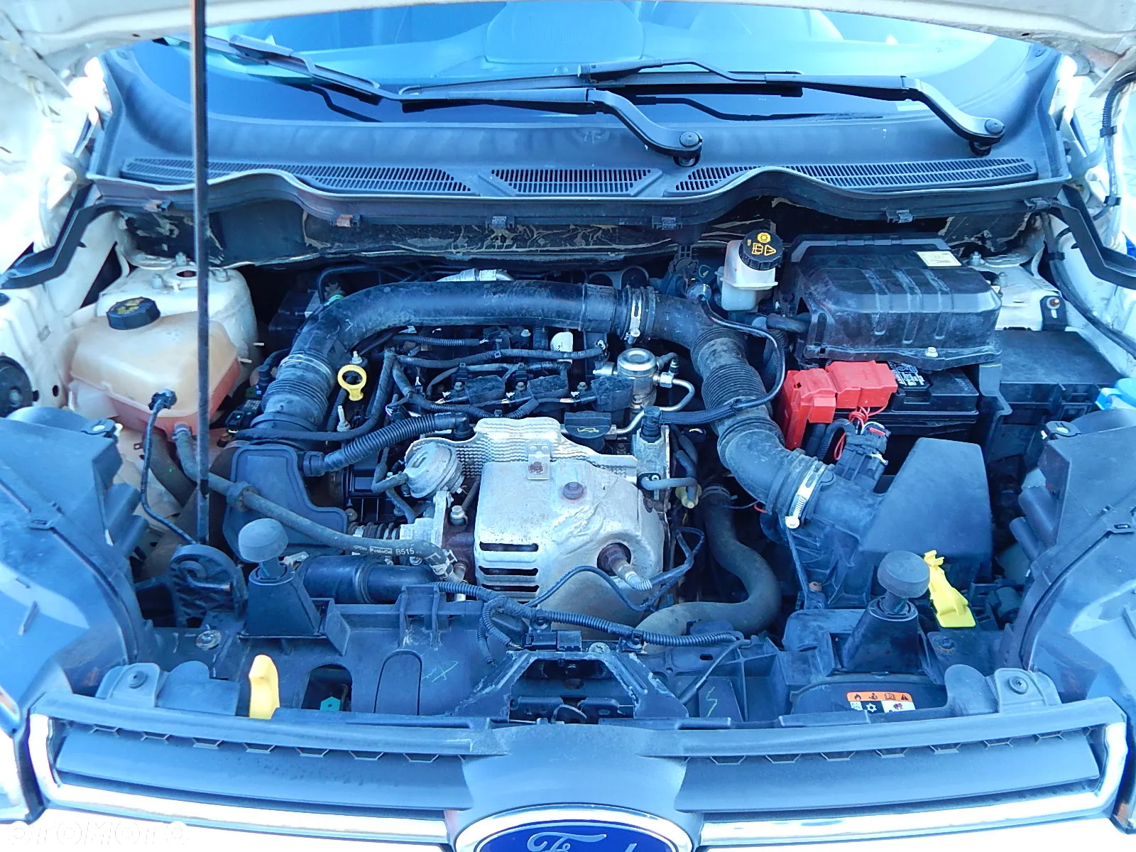 Ford EcoSport 1.0 EcoBoost GPF Navi Edition ASS - 33