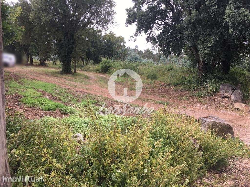 Terreno de construção com 9.500 m2 - São Romão do Coronado, Trofa - Grande imagem: 2/5