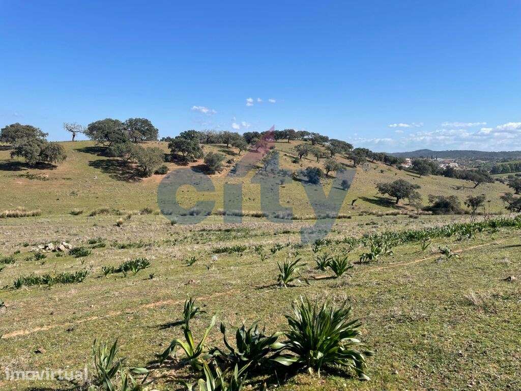 Herdade de Monte Branco, Figueira e Malhada Velha - Grande imagem: 2/41
