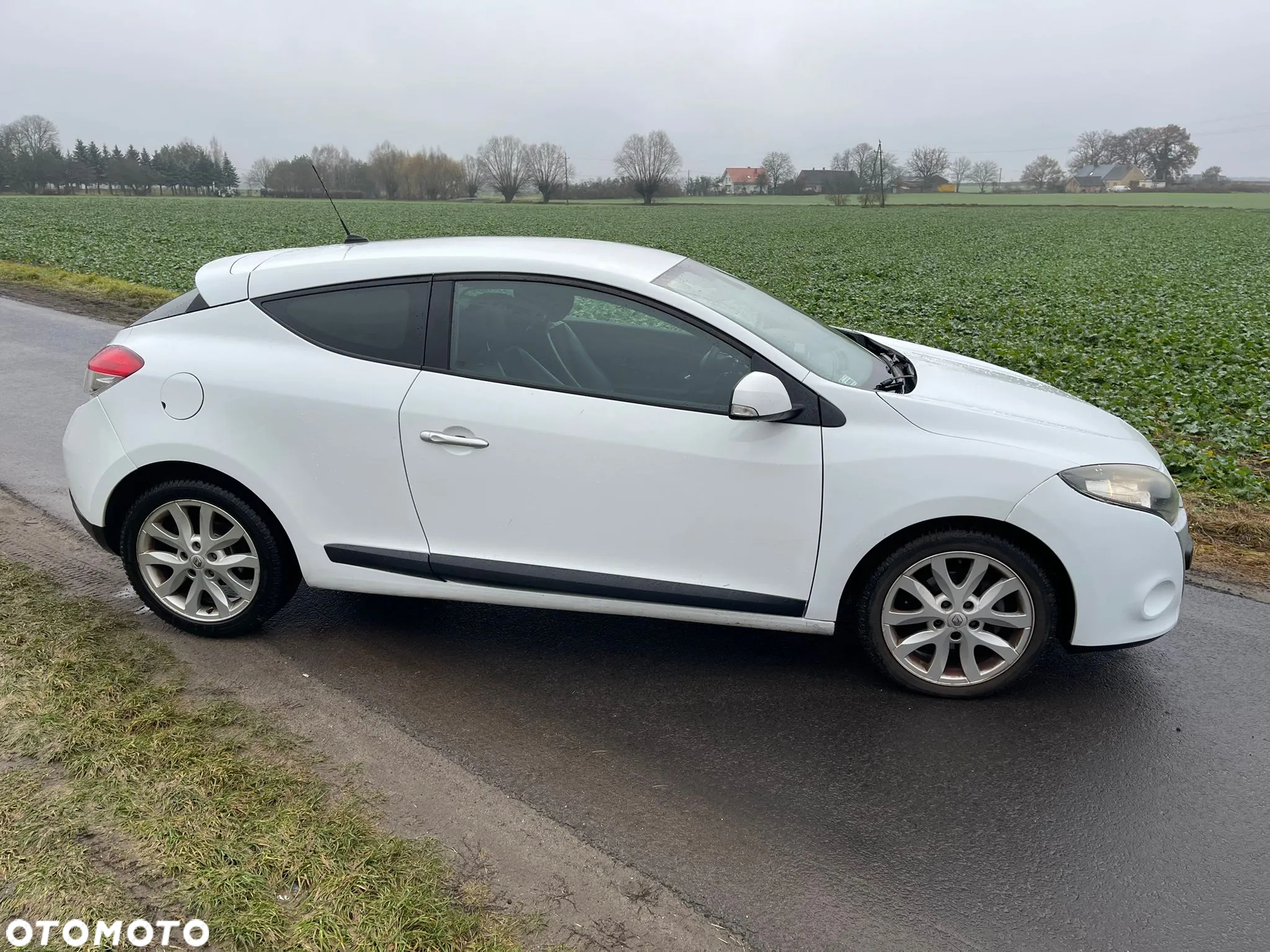 Renault Megane - 7