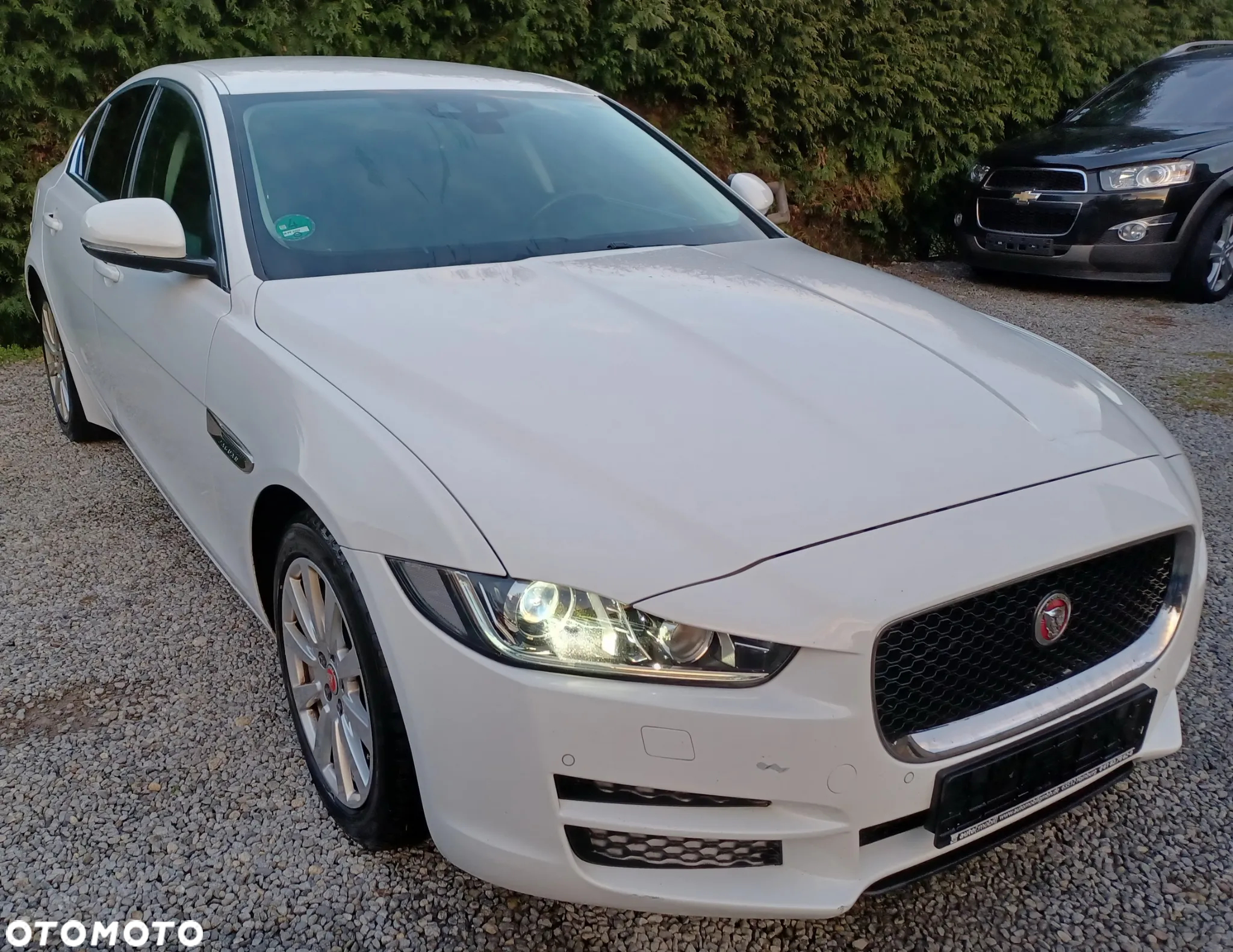Jaguar XE - 6