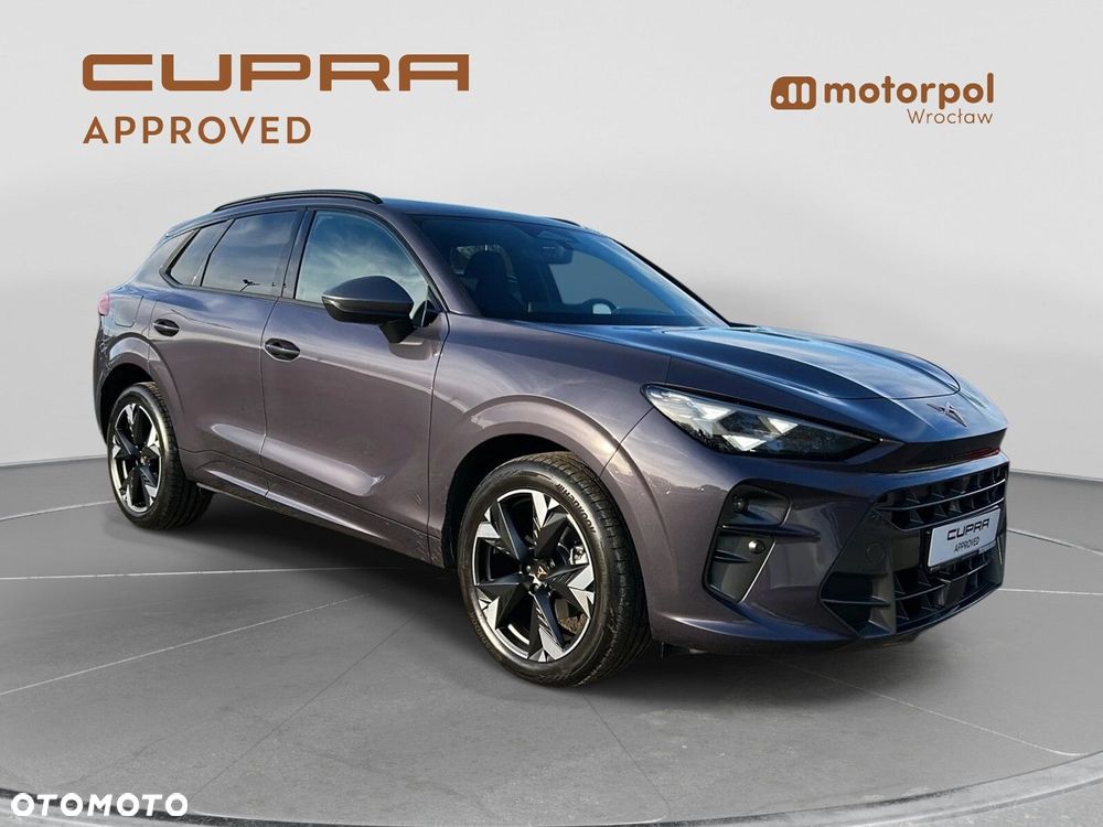Cupra Terramar - 14