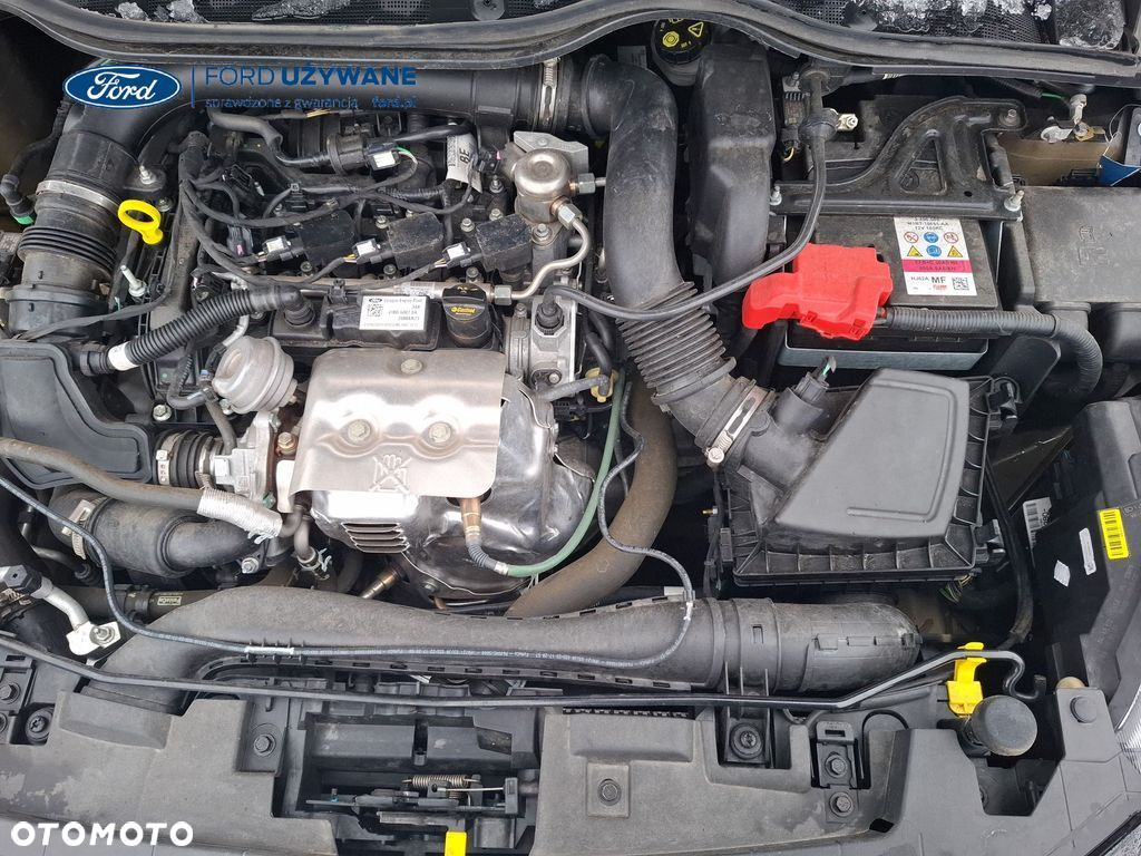 Ford Fiesta - 17