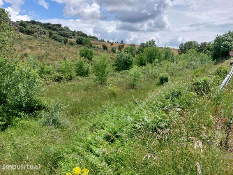 Terreno Rustico em Quinta da Catraia - Longroiva - Mêda - Grande imagem: 4/5