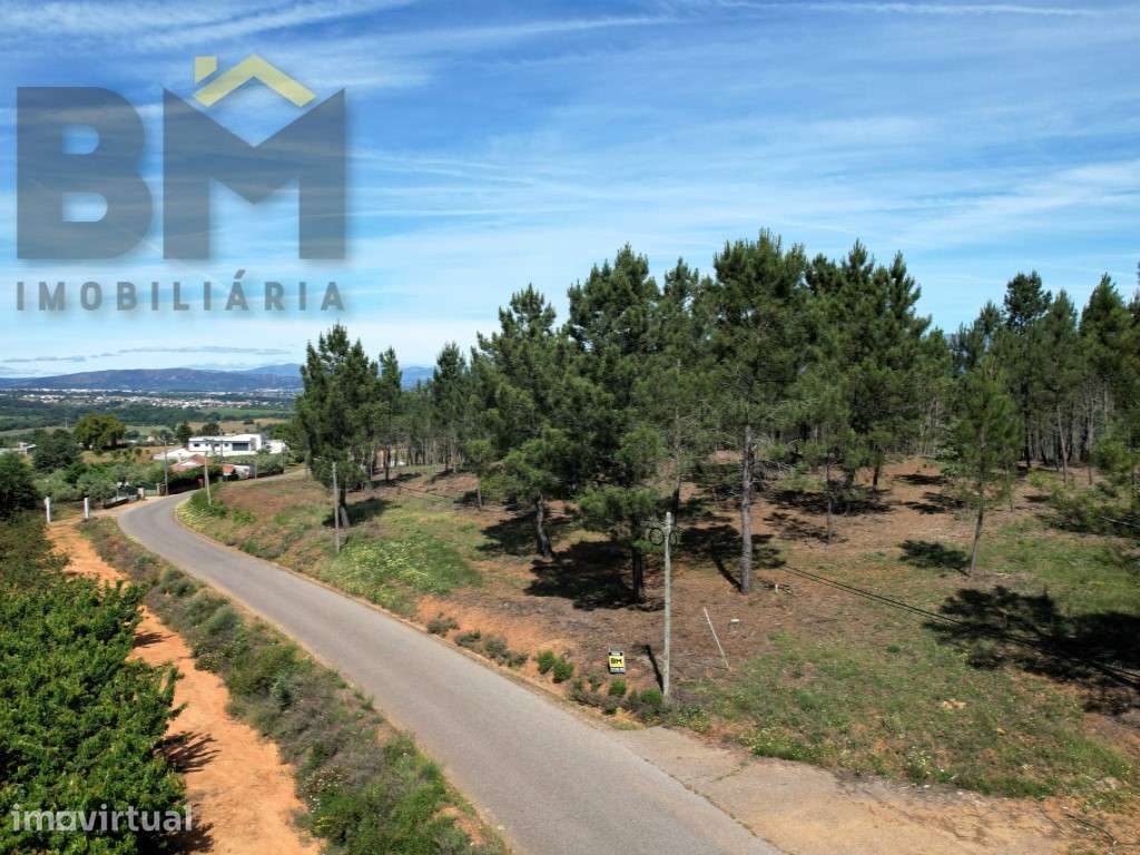 O Seu Próximo Grande Projeto Começa Aqui: 7.6 Hectares na Fatela co... - Grande imagem: 2/10