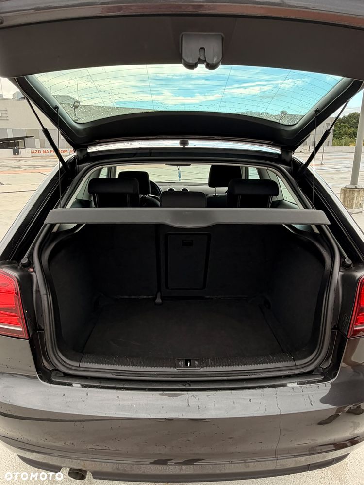 Audi A3 3-drzwiowe 1.6 TDI DPF Ambiente - 16