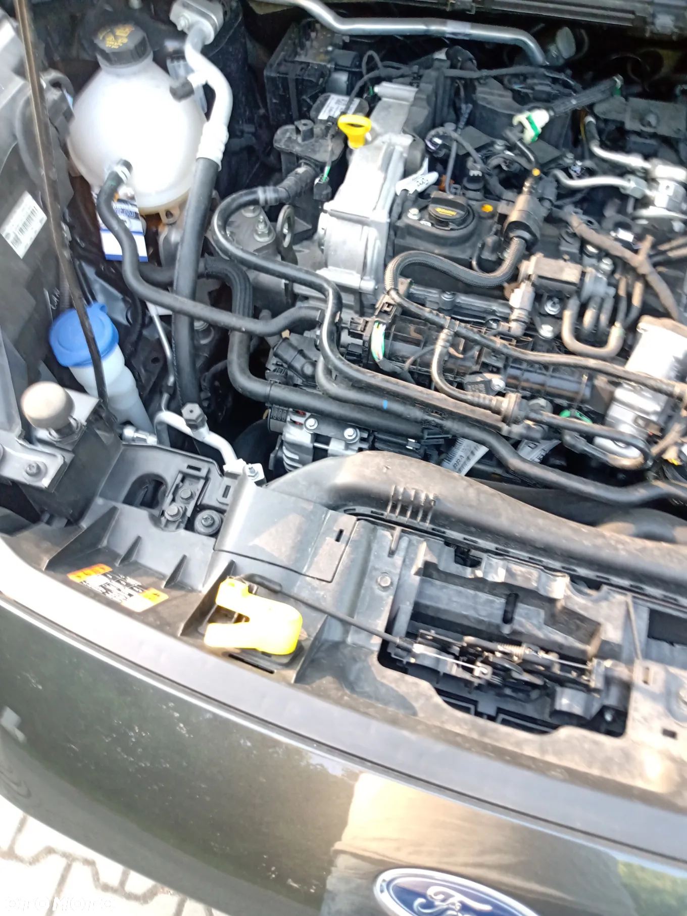 Ford Puma 1.0 EcoBoost Hybrid TITANIUM - 13