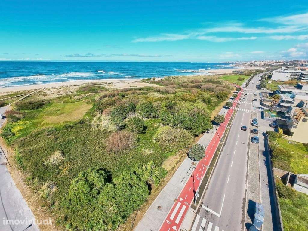 Terreno com 8.250m2 e vista mar, na Madalena. - Grande imagem: 5/15