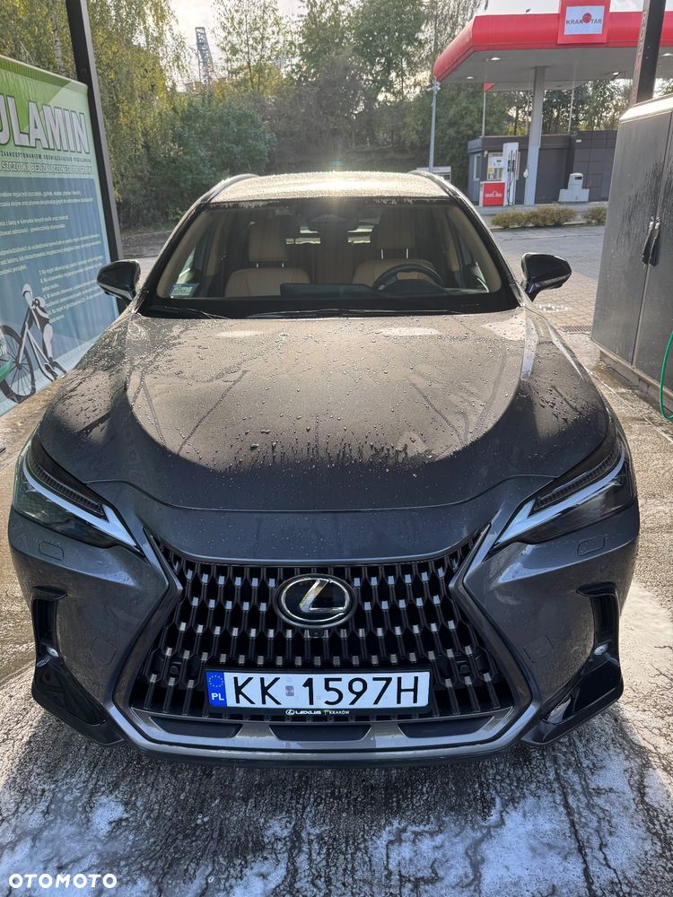 Lexus NX 350h Omotenashi AWD - 2
