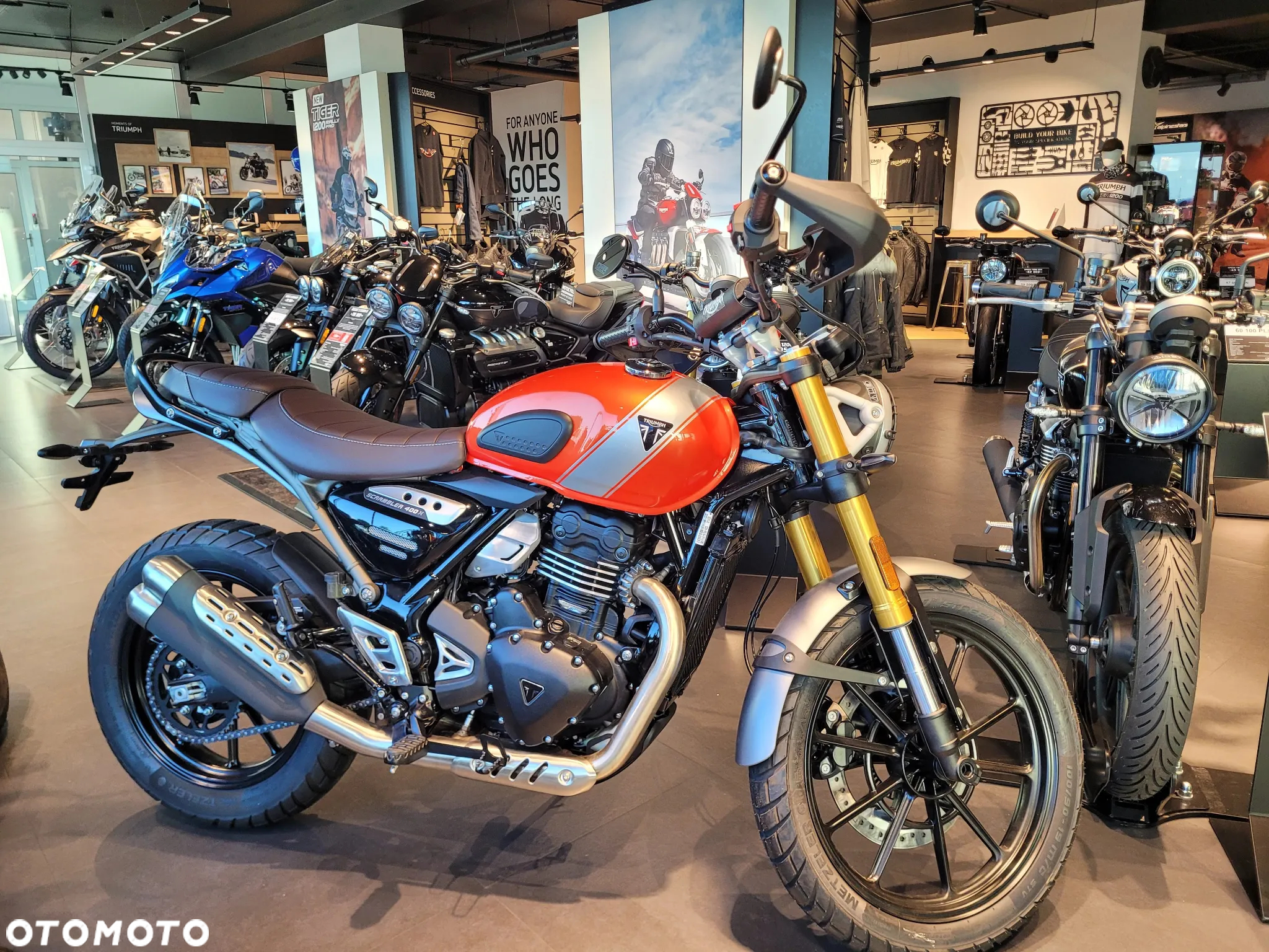 Triumph Scrambler - 2