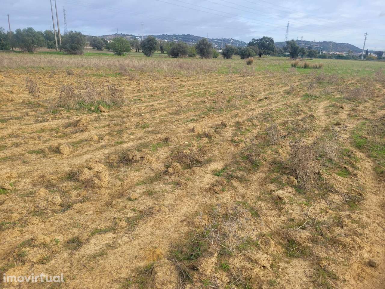 TERRENO RÚSTICO COM 3820M2 PARA VENDA EM ARRANCADA-TUNES - Grande imagem: 5/7