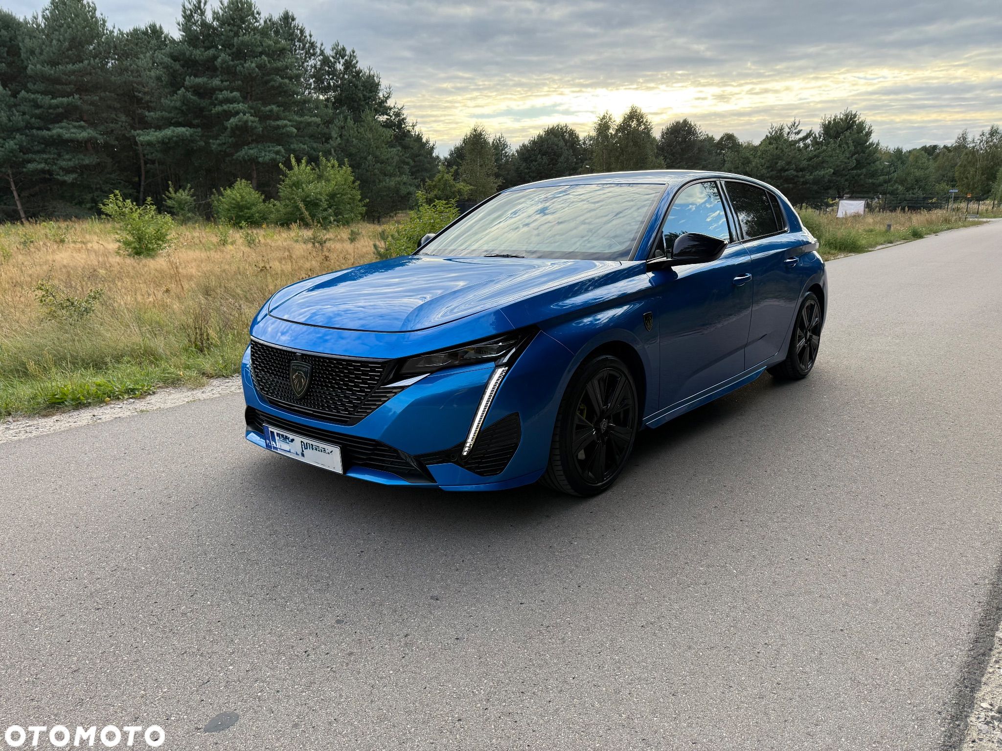 Peugeot 308 1.6 Hybrid PHEV GT EAT8 - 1