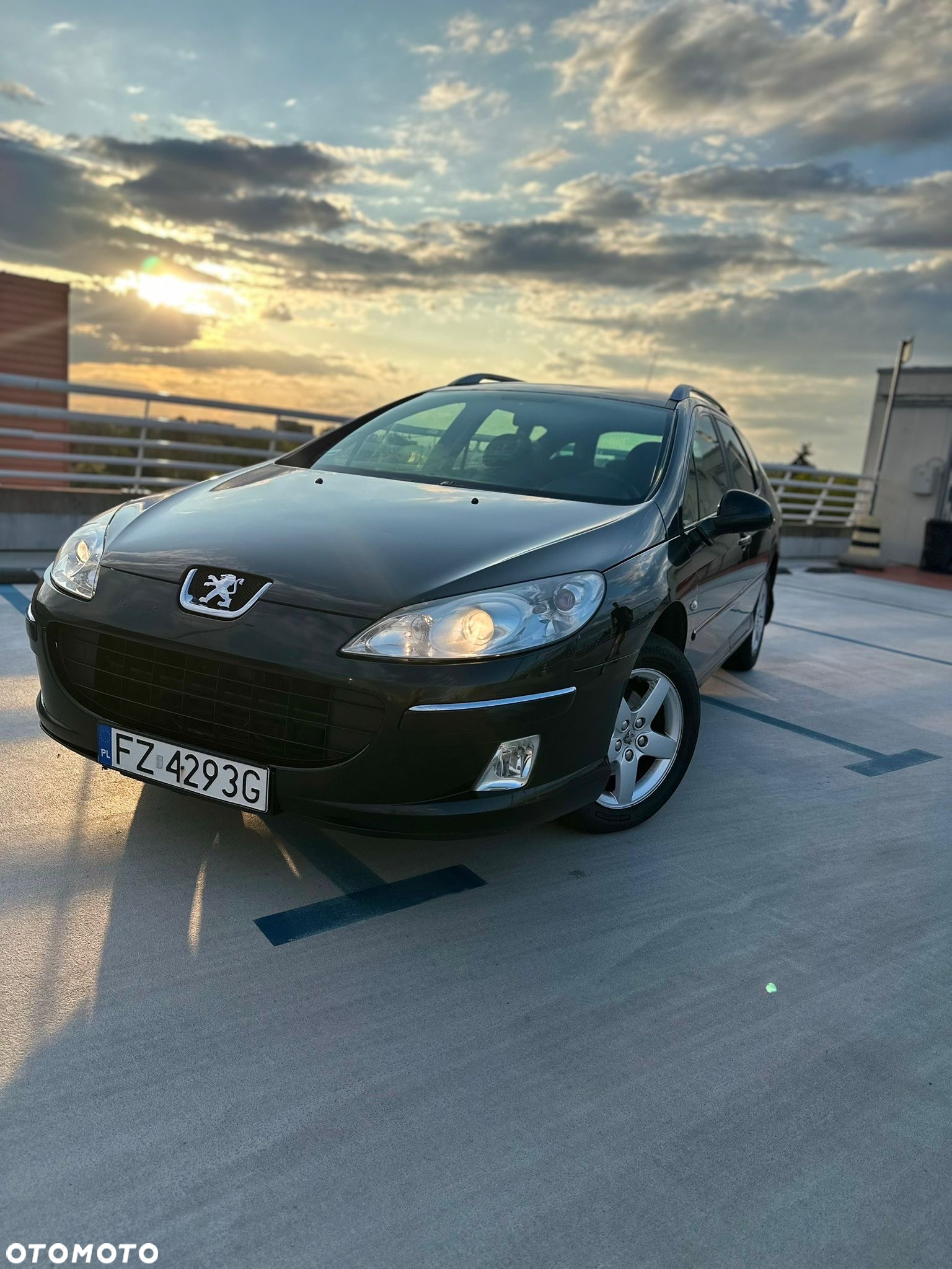 Peugeot 407 - 24