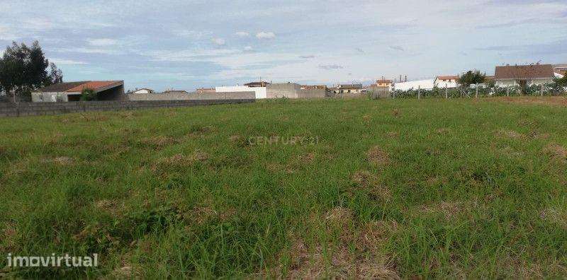 Terreno Rústico em Vieira de Leiria – 1.081 m² - Grande imagem: 5/5
