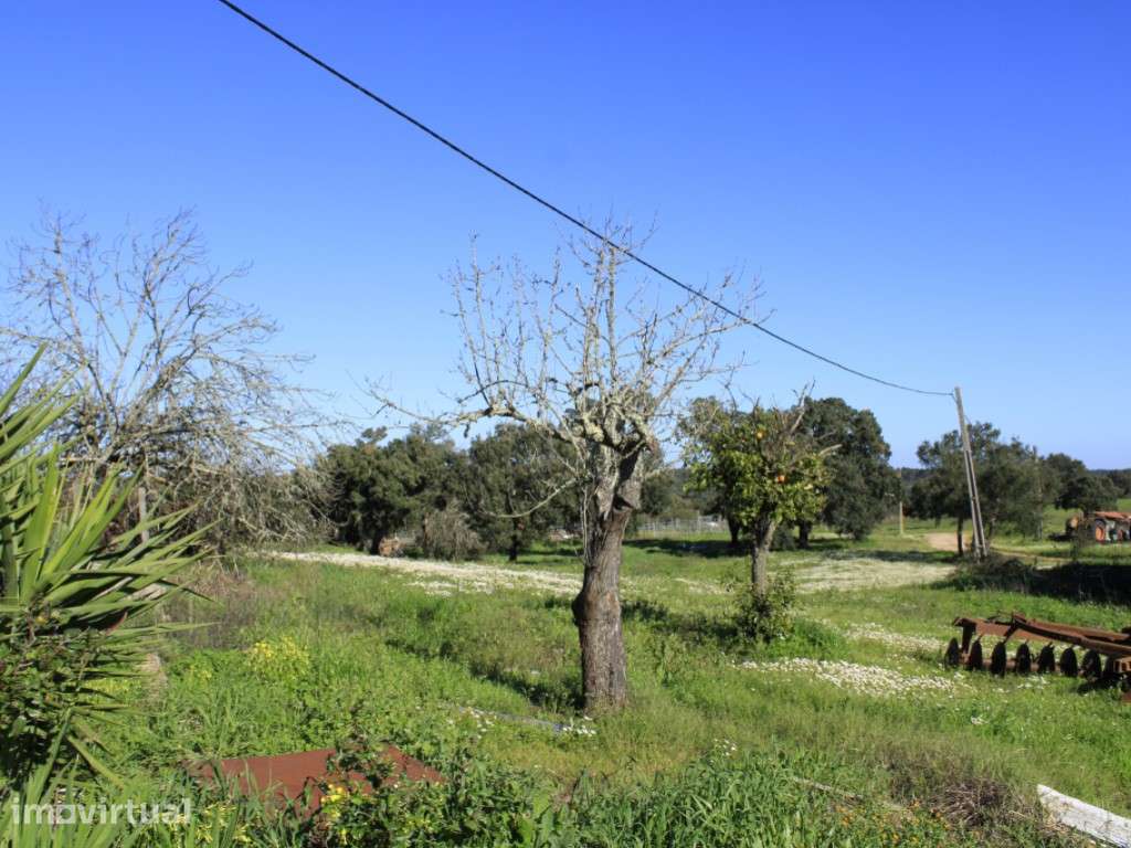 INVESTIMENTO: Herdade com Regadio e Potencial Turístico em Santiago... - Grande imagem: 3/29