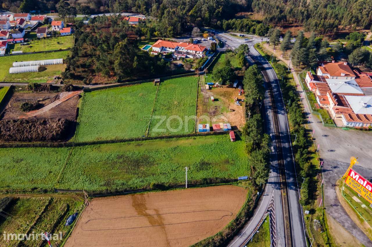 Terreno com 22.000 m2 em frente à A28 nó de Antas, Esposende - Grande imagem: 5/26