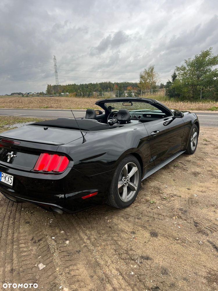 Ford Mustang 5.0 Ti-VCT V8 Black Shadow Edition - 8